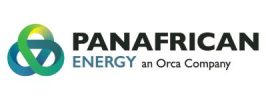 PAN African Energy Logo